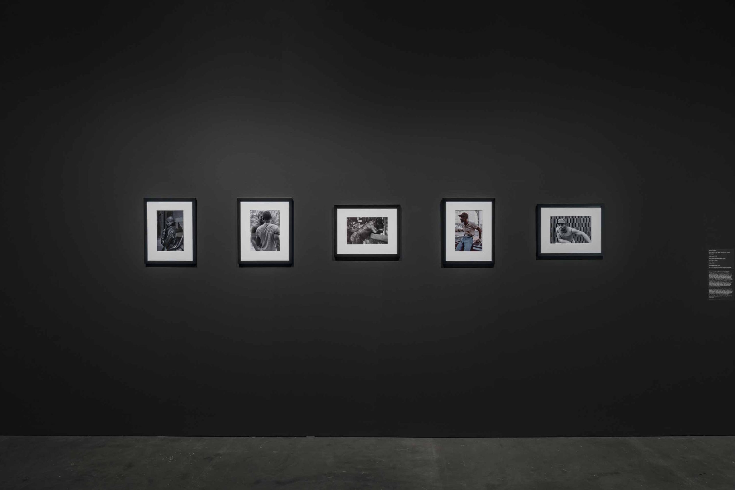 MCA Chicago, City in a Garden: Queer Art and Activism in Chicago